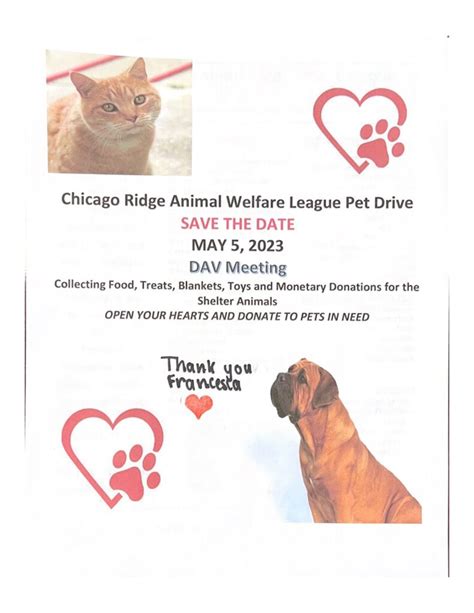 From all news stations, radio stations, and anything else. . Animal welfare league chicago ridge news